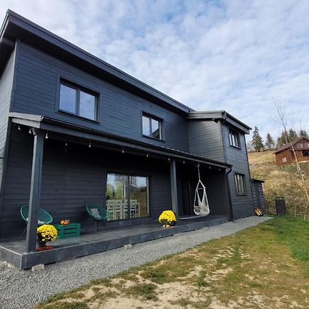 Black Wood Cabin Mărişel Dış mekan fotoğraf