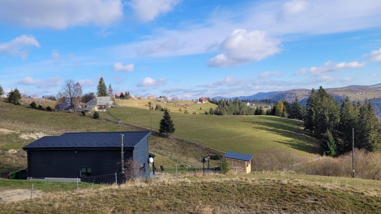 Black Wood Cabin Mărişel Dış mekan fotoğraf